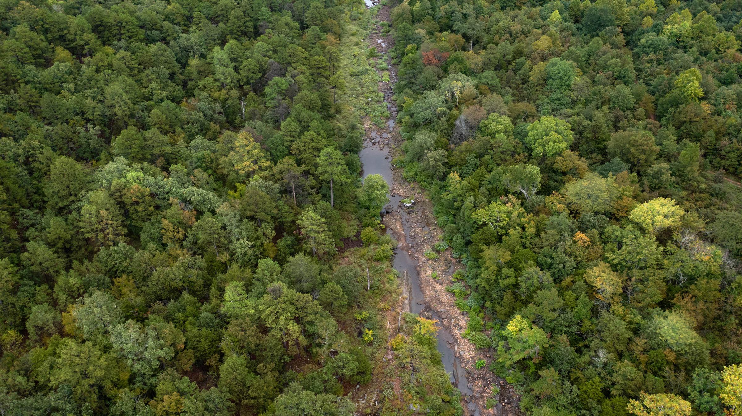 Aerial view looking straight down a rocky creek winding through dense timber in Haskell County, Oklahoma