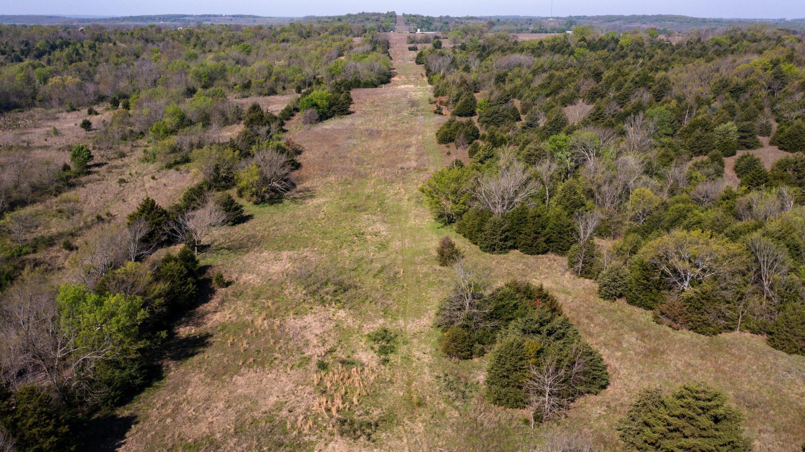 Aerial view of a cleared grass lane running between wooded edges across rural Okfuskee County acreage