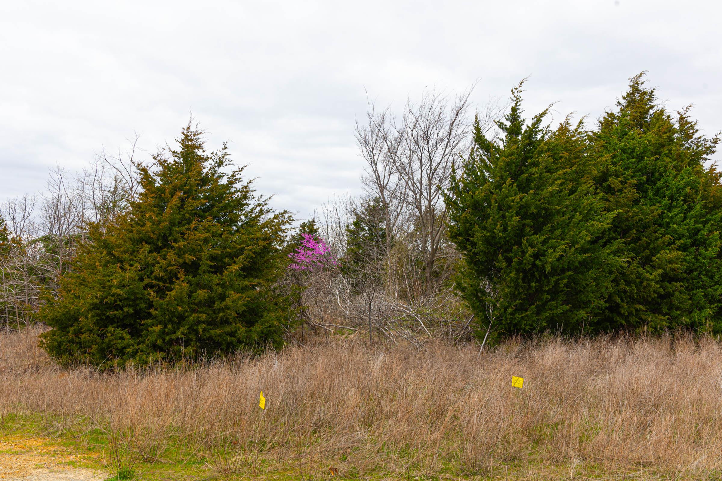 Reserves At Cattail Cove Phase I — owner financed land tracts in Pittsburg County, Oklahoma