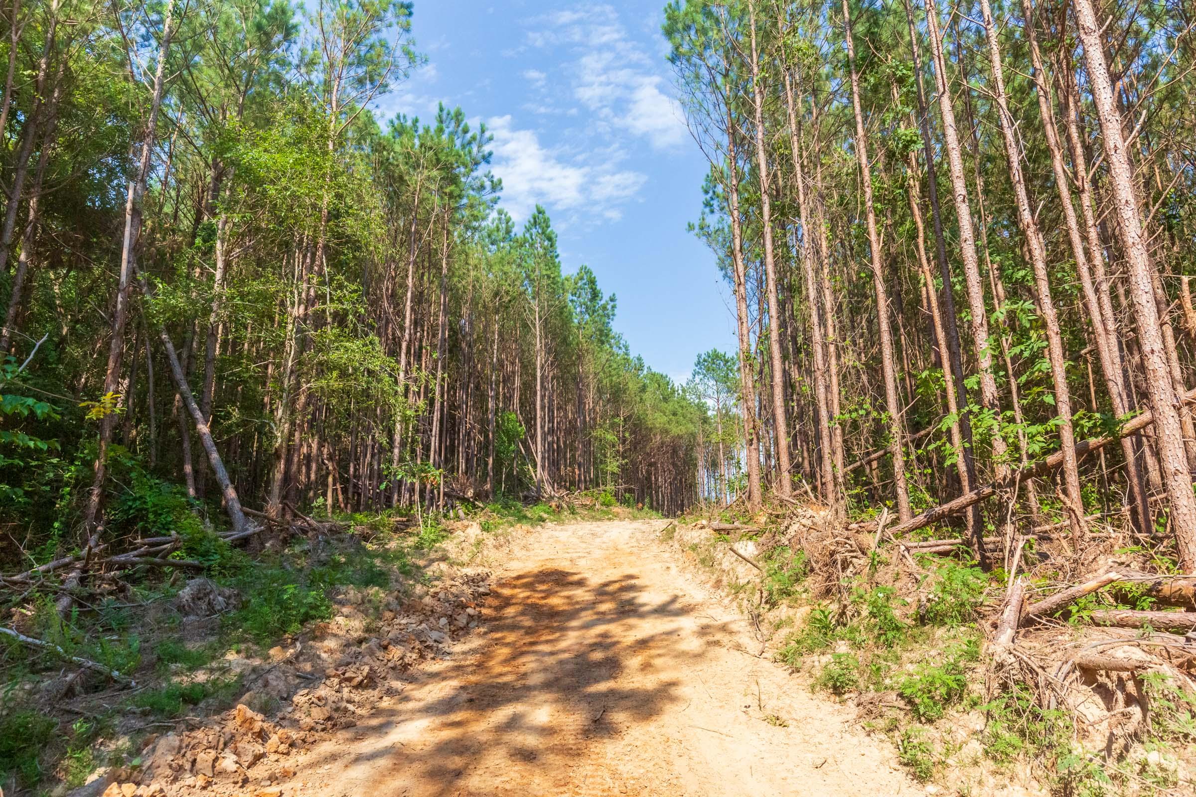 Whiskey Ridge — owner financed land tracts in Henderson County, Tennessee