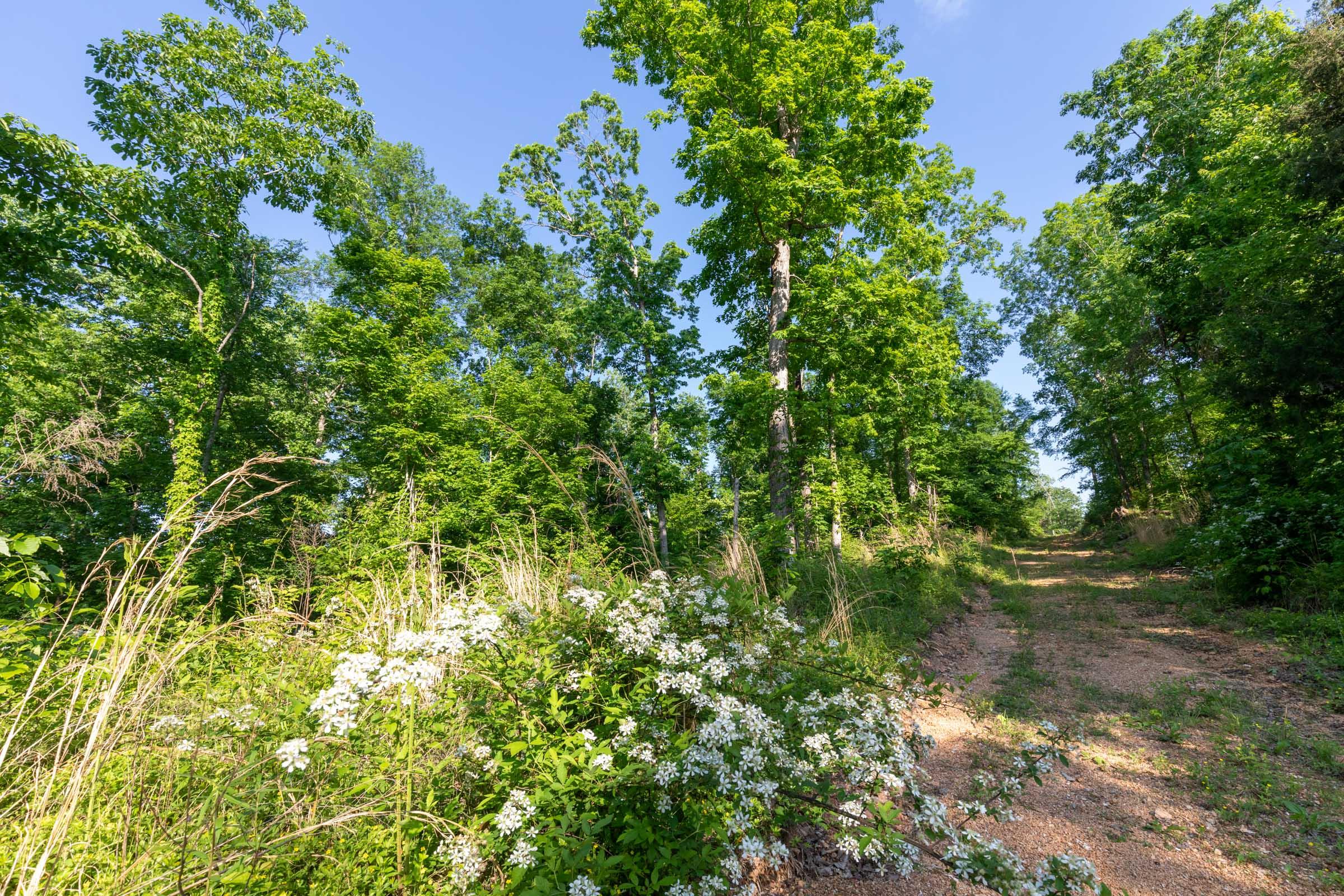 Cedar Creek — owner financed land tracts in Perry County, Tennessee