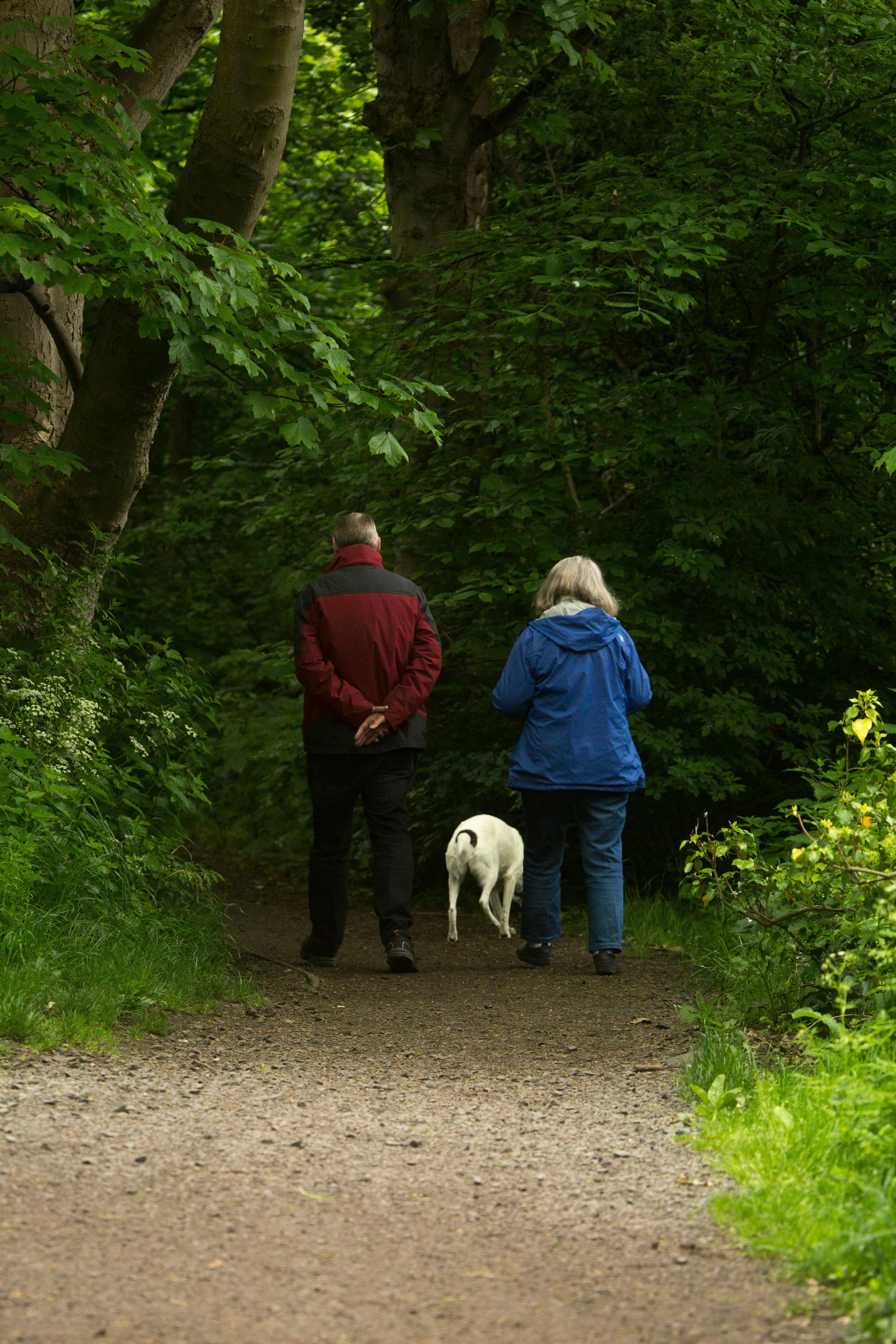 A couple walking their dog along a gravel path through green woods